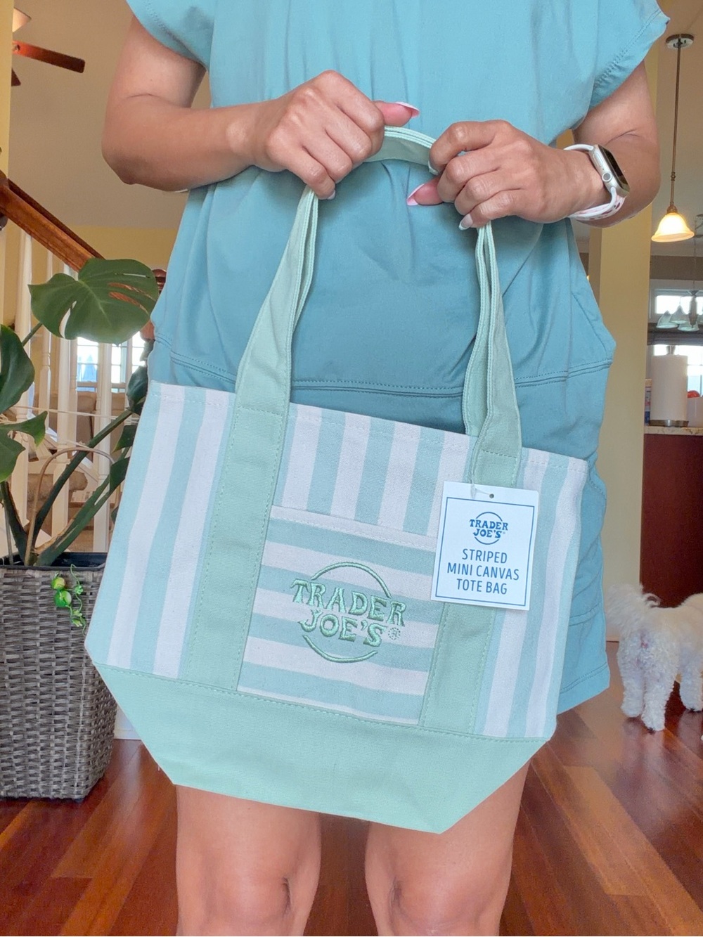 NWT Trader Joe's Mini Pastel Stripe Canvas Tote Bag Limited Edition